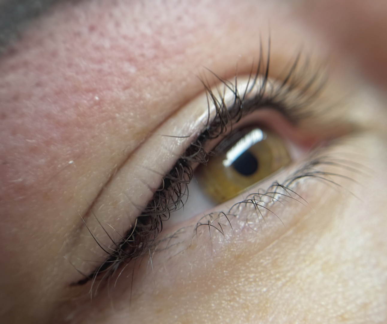 Beauté des cils